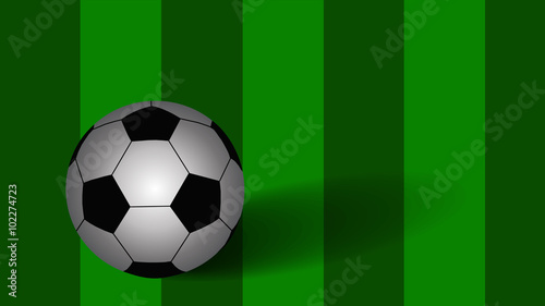 Soccer ball on green background  vector eps10
