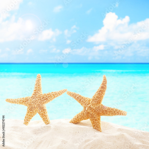 Starfishes on sandy beach
