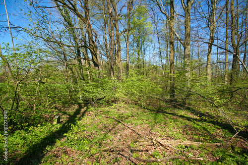 Ein Spaziergang im bayerischen Voralpenland
