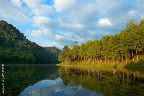 pang ung , reflection of pine tree in a lake , meahongson , Thai