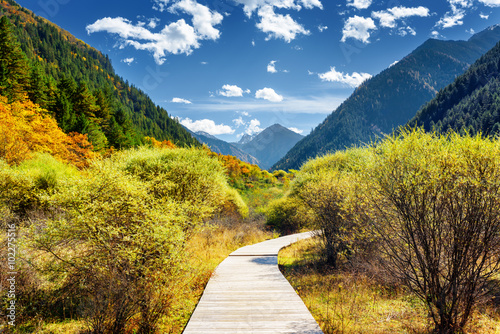 Boardwalk across autumn forest among mountains on sunny day