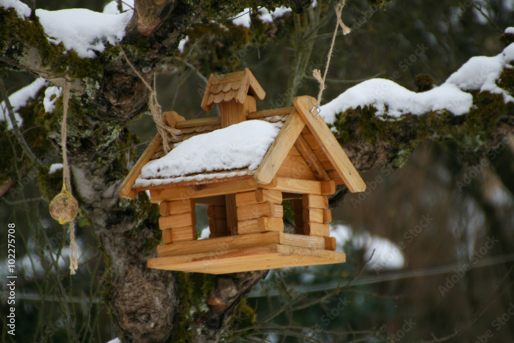 Obraz premium Vogelhäuschen im Winter
