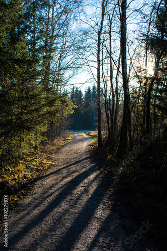 Ein Spaziergang im bayerischen Vorplanend