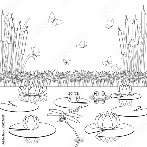 Coloring page with pond inhabitants and plants.
