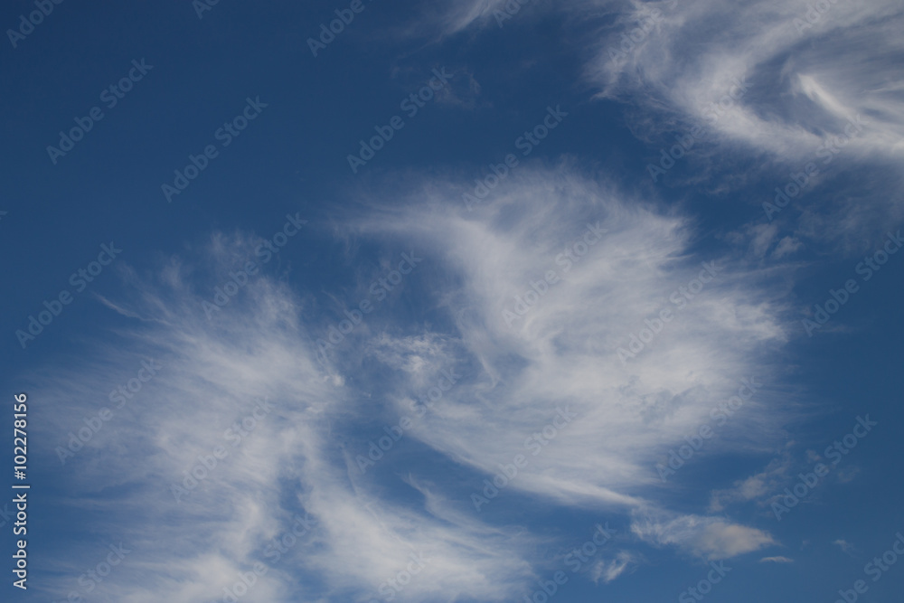 Obraz premium White cloud
