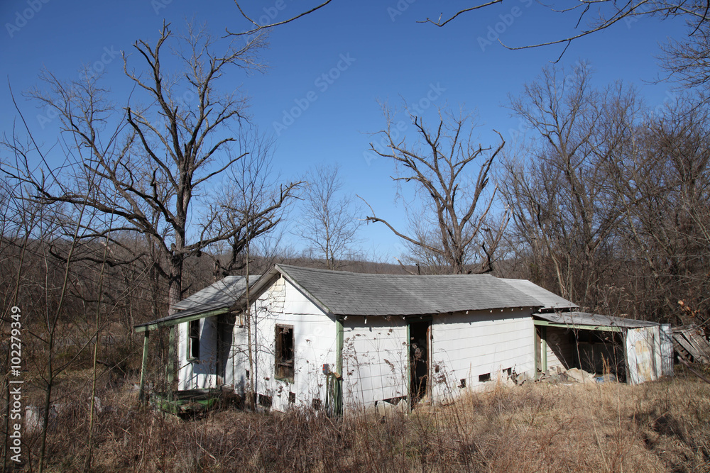 An Old Abandoned House in Weeds An Old Abandoned House in Weeds
