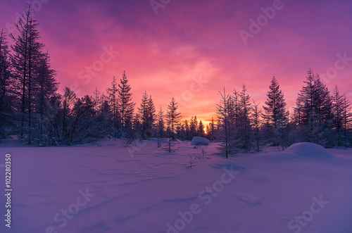 Winter landscape with forest, cloudy sky and sun  © Olonkho