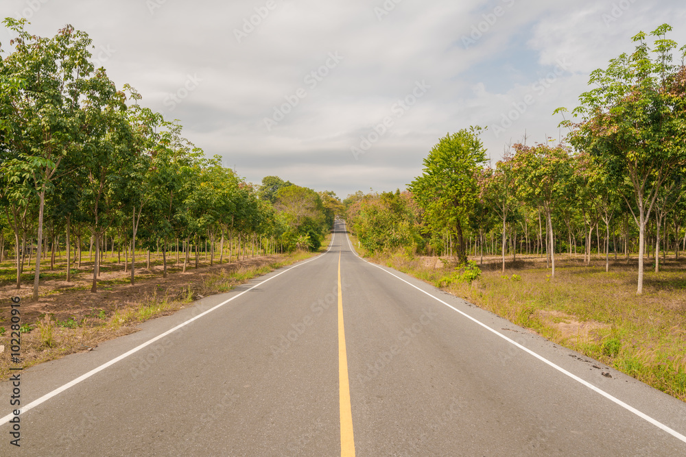 Long macadamized road ahead with trees and sky clouds : countryside Thailand
