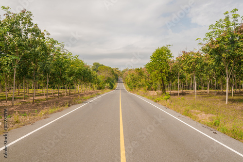 Long macadamized road ahead with trees and sky clouds : countryside Thailand 