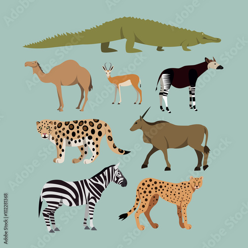 Vector Set Of Different African Animals. Animals of the African savanna Dromedary camel, crocodile, leopard, Okapi, Cheetah, Canna, Zebra, Springbok.