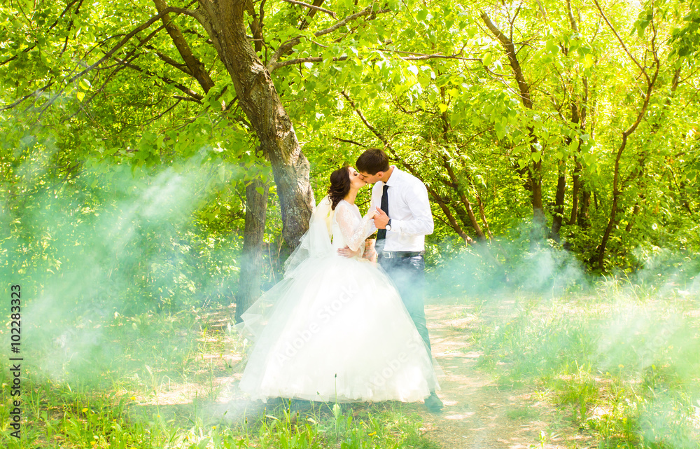 Wedding, Beautiful Romantic Bride and Groom Kissing and Embracing 