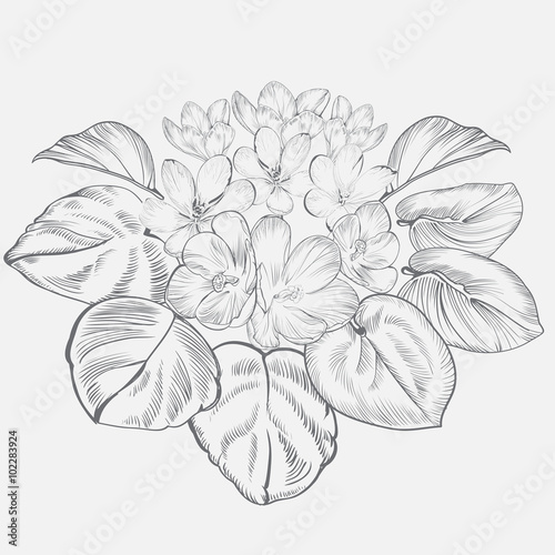 Vintage elegant flowers. Black and white vector illustration. Botany. 