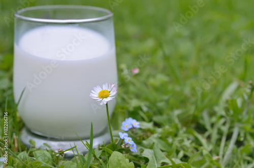 Fotografie nutrition,santé,buvez du lait