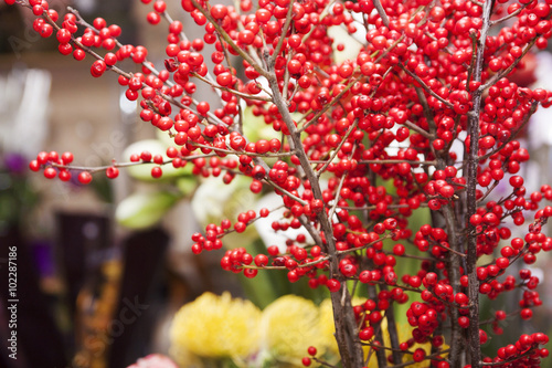 decorative red berries