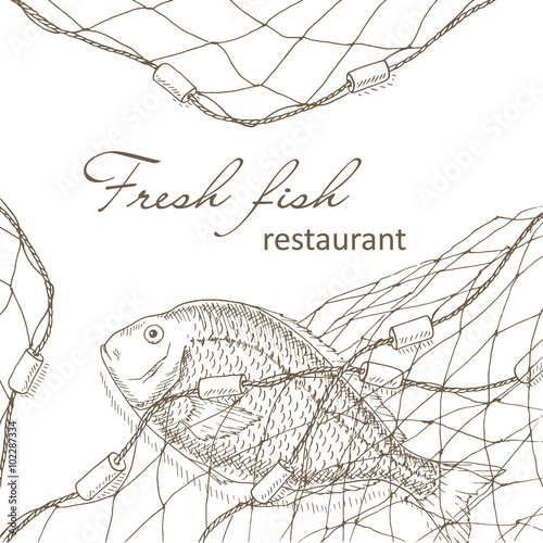 Fish caught in the net