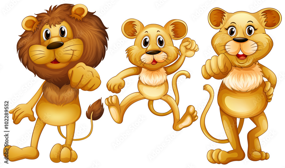 Lion family with one little cub Lion family with one little cub