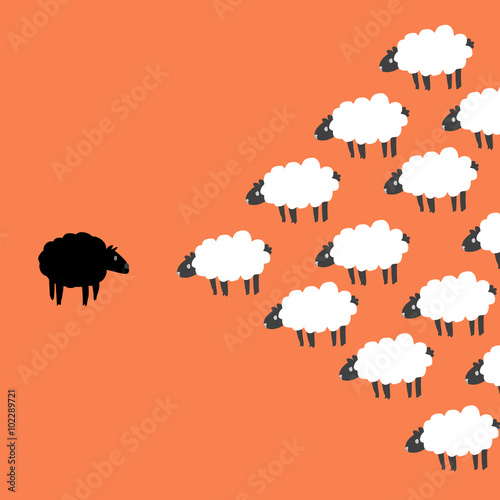 Black and white sheep