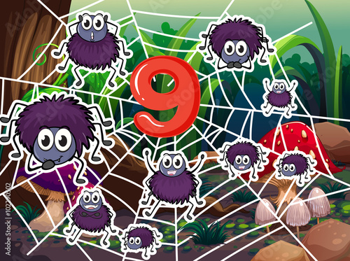 Number nine with nine spiders on web