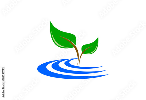 plant with water logo 