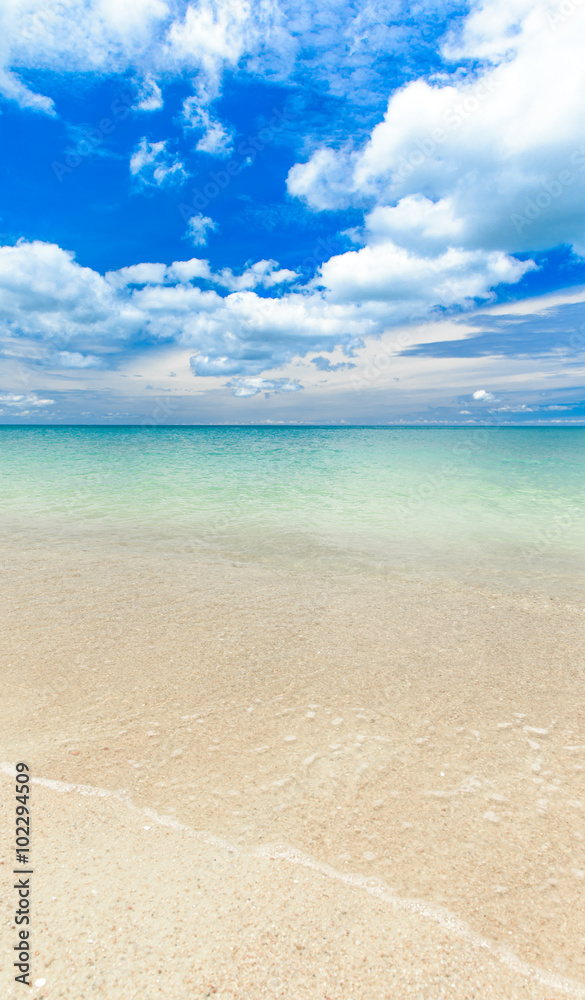 Obraz premium tropical sea