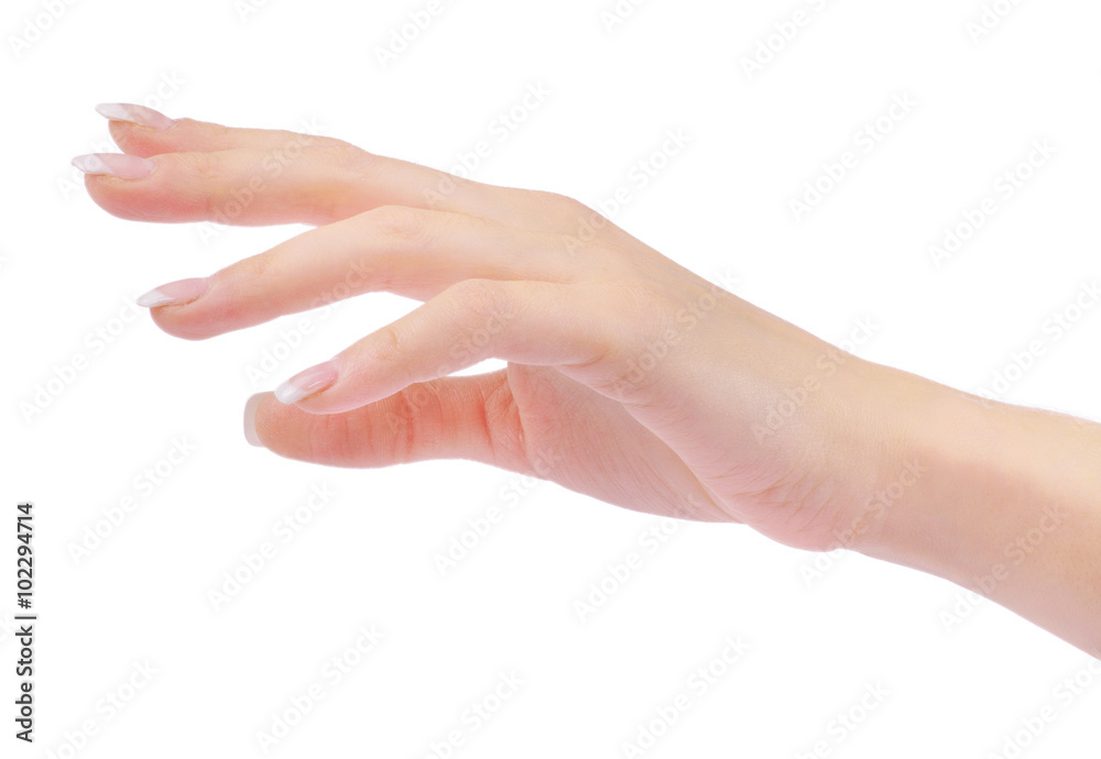 hand hand