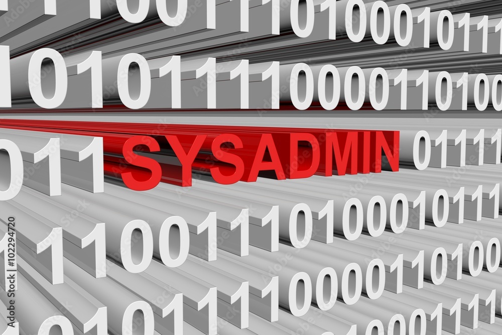 sysadmin is presented in the form of binary code sysadmin is presented in the form of binary code