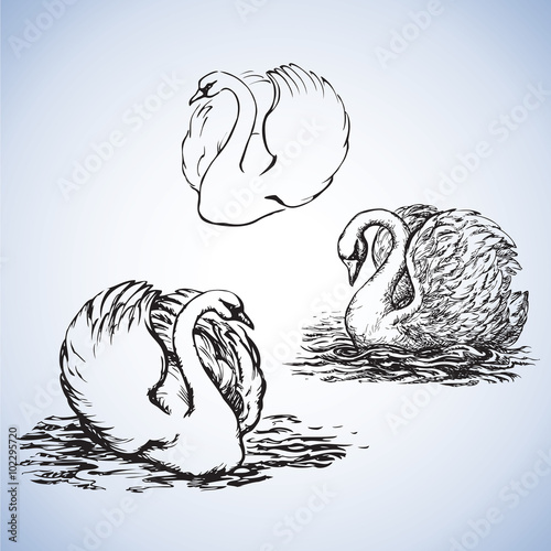 DNA chain in develop, functioning and reproduction of living organisms and many viruses. Vector freehand ink drawn backdrop sketch in art doodle style pen on paper. View close-up with space for text