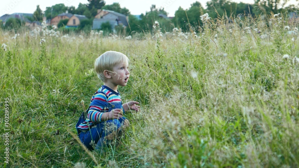 Happy Joyful Caucasian Cute baby boy toddler kid child is playing in a meadow with green grass