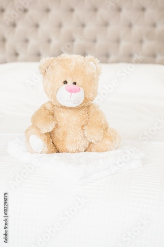 A soft teddy bear