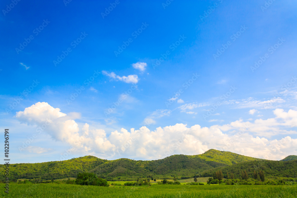 blue sky and green mountain 