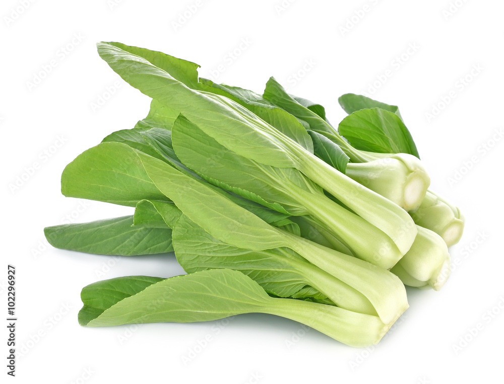 Bok choy vegetable isolated on the white background Bok choy vegetable isolated on the white background