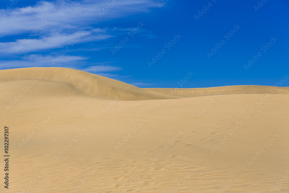 Maspalomas Duna - Desert in Canary island Gran Canaria