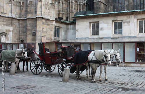 Horse and cart.   © makarova