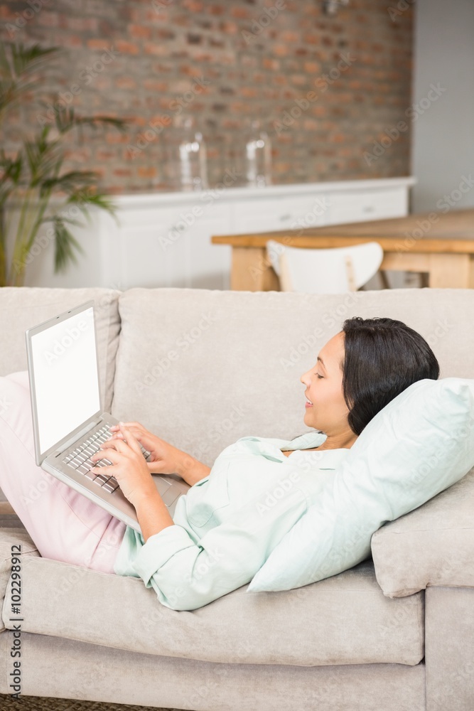 Fototapeta premium Smiling brunette using laptop