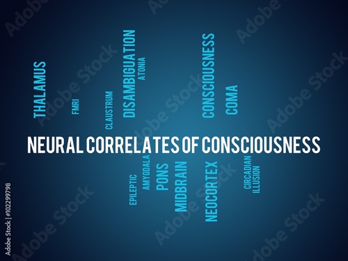 Neural correlates of consciousness  photo