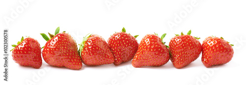 Line of red strawberries isolated