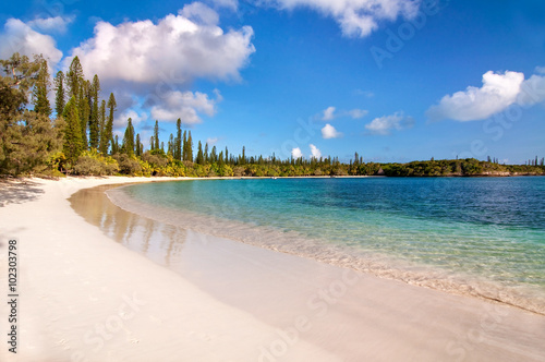 Tropical beach, Isle of Pines, New Caledonia photo