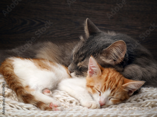 Foto Mother and baby