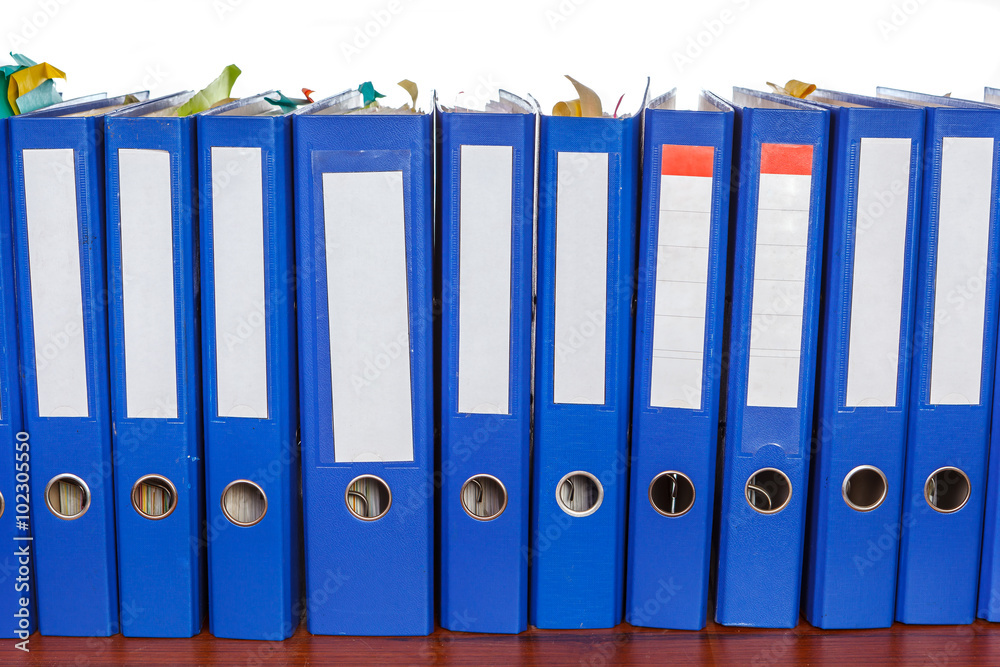Row of blue office folders with blank labels