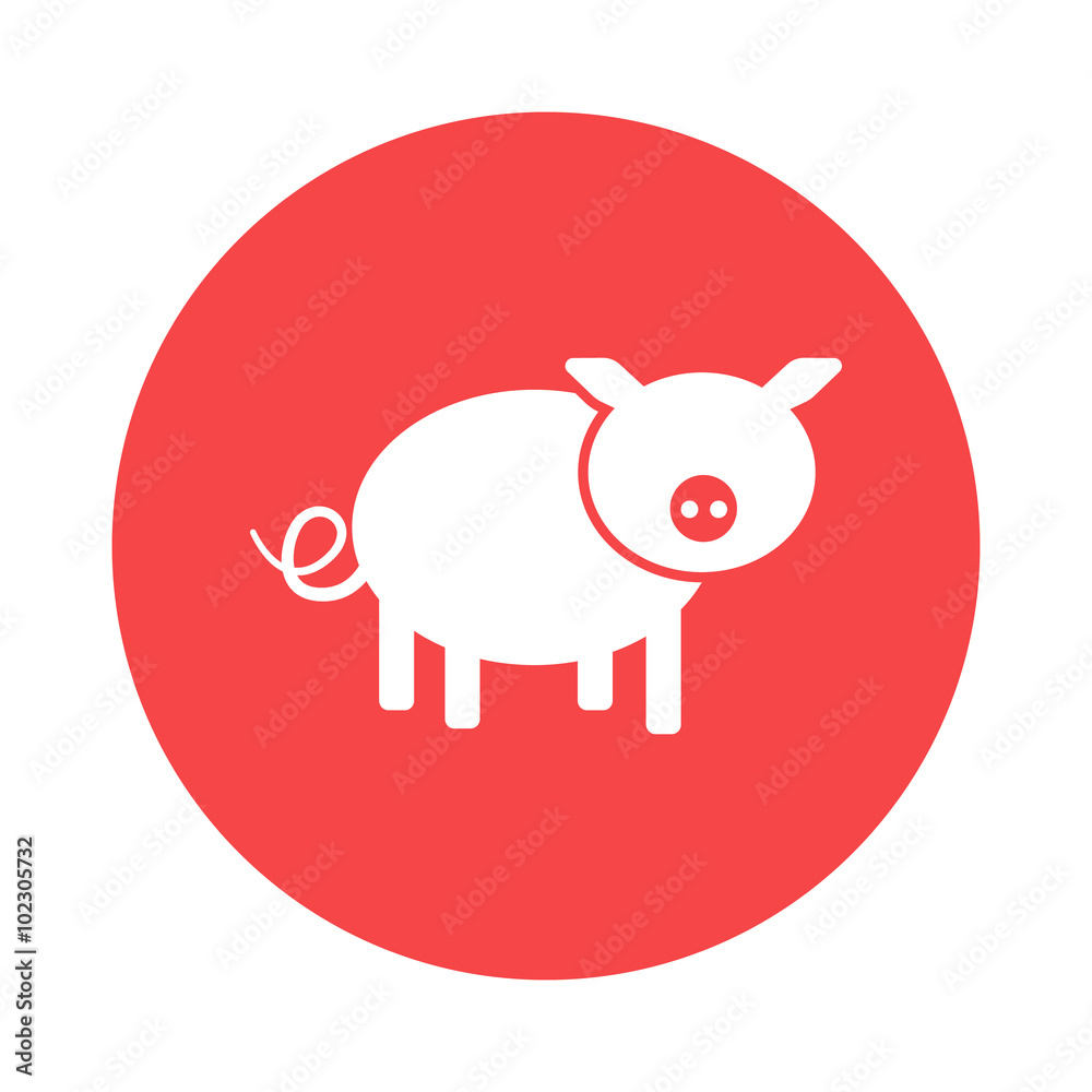 pig icon pig icon