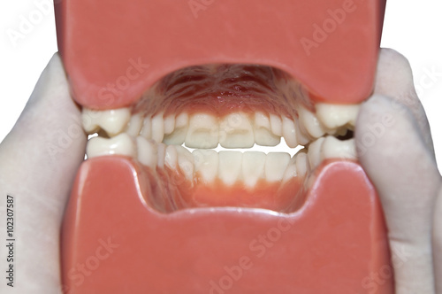 Foto View of interior mouth isolated on white