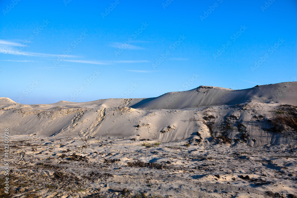 Gray sand dunes with the grass grown through the sandy surface Gray sand dunes with the grass grown through the sandy surface