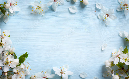 art Spring border background with white blossom