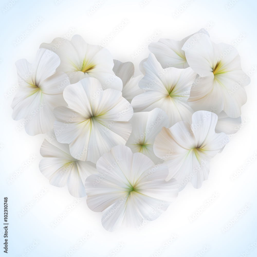 Fototapeta premium Innocence White Petunia Heart for Valentine day. Love symbol.