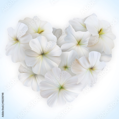 Innocence White Petunia Heart for Valentine day. Love symbol.