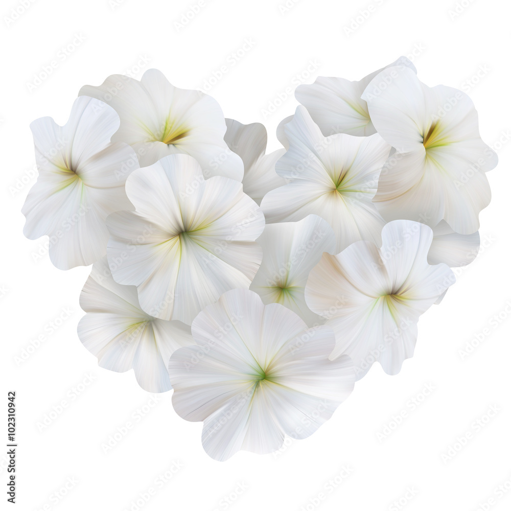 Innocence White Petunia Heart for Valentine day. Love symbol. Innocence White Petunia Heart for Valentine day. Love symbol.