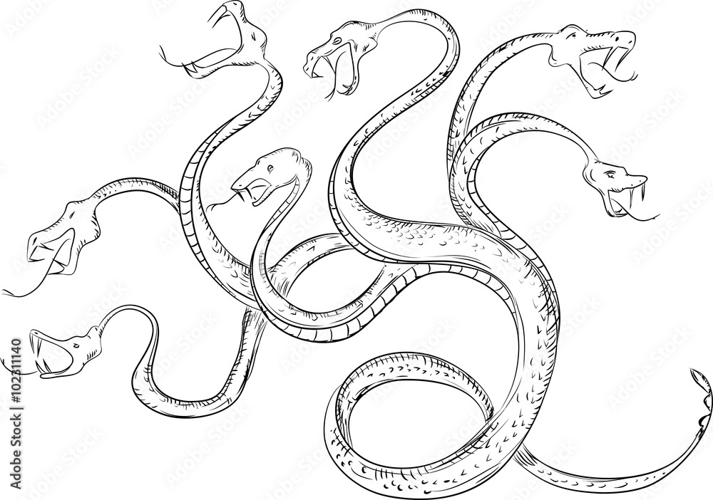 Fototapeta premium Hydra