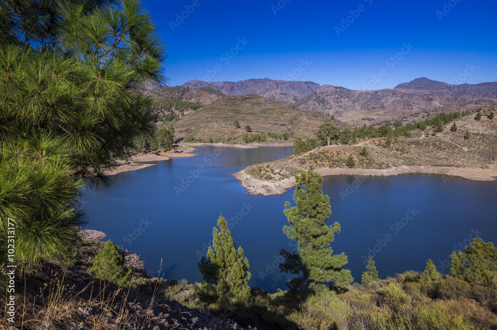 Fototapeta premium Süßwasser-Oase in den knorrigen Bergen von Gran Canaria 