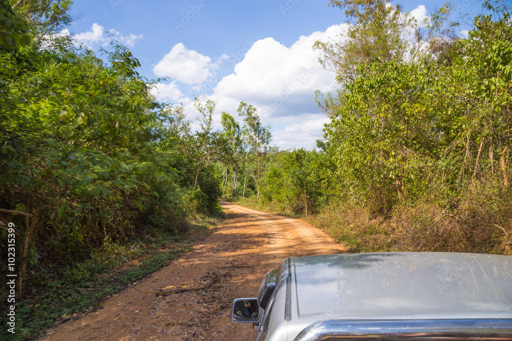Fototapeta premium Kui Buri Elephant National Park Thailand
