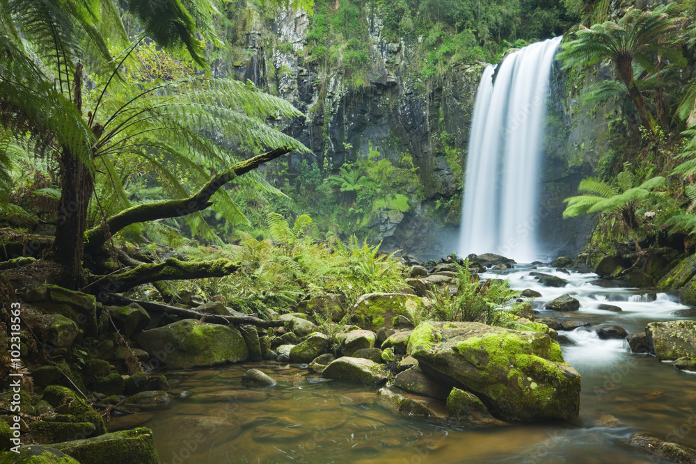 Fototapeta premium Rainforest wodospady, Hopetoun Falls, Great Otway NP, Australia